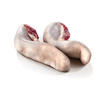 Yazik_2_1