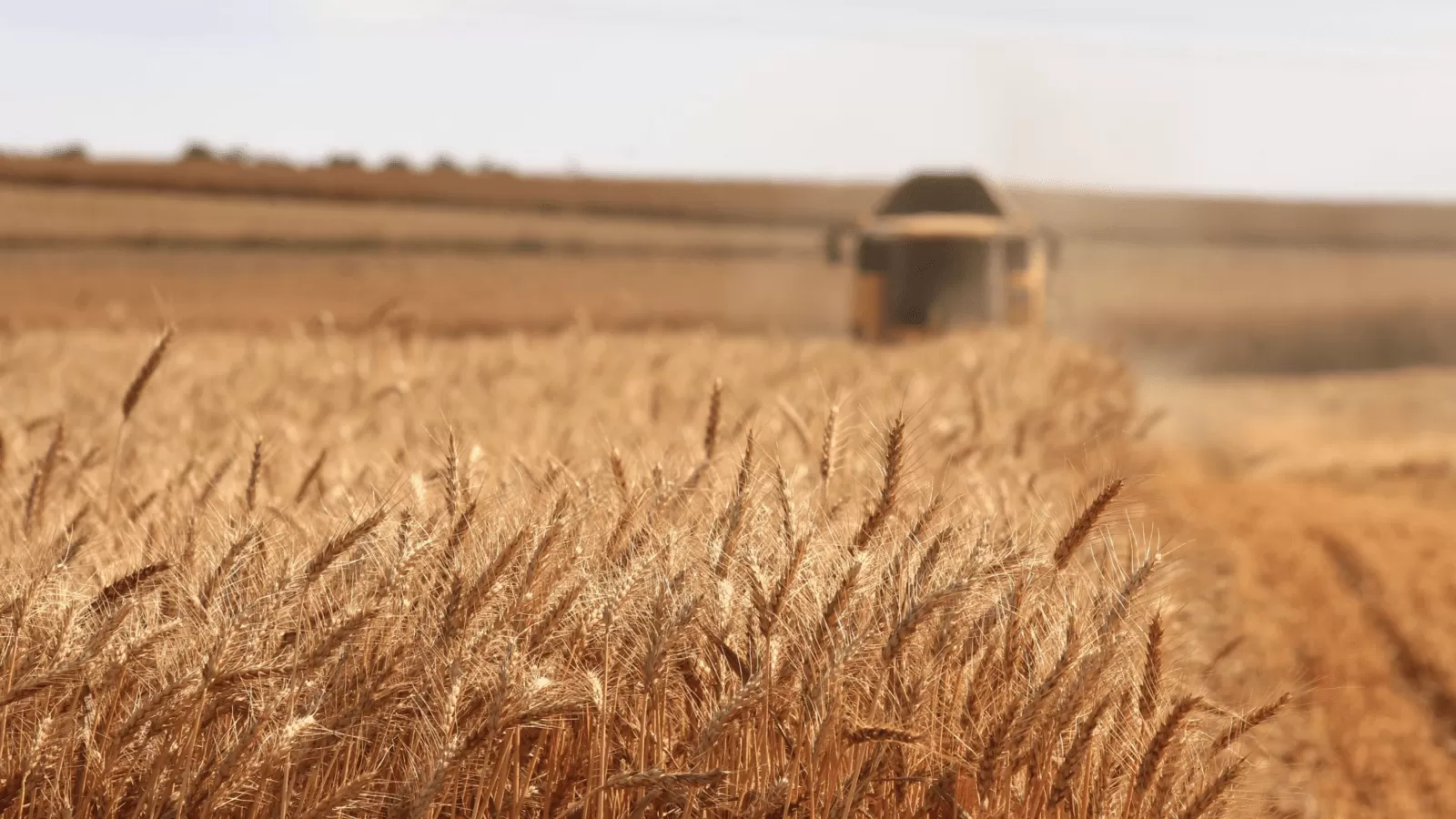 Land reform in Ukraine - ukrprompostach Land reform in Ukraine